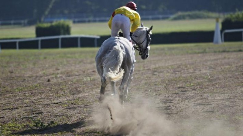 ilustrační foto zdroj Město Pardubice