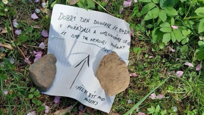 Chytré řešení vymyslela školačka, která našla zraněného ptáka