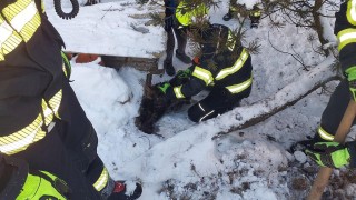 Dva dny kočka nedobrovolně strávila ve trubce od krbu. Dostat ji z ní ven museli hasiči