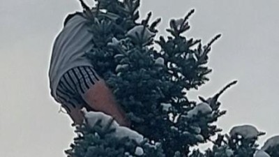 foto zdroj Policie ČR