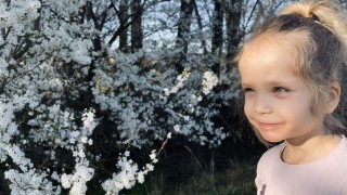 Bětuška, foto zdroj Městská policie Pardubice