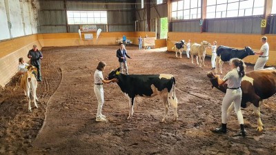 Přijeli do Lanškrouna z celé republiky. Učí se tu starat o strakatý skot