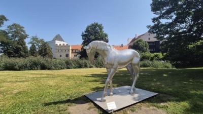 Kůň v Tyršových sadech zůstane, koupilo ho město