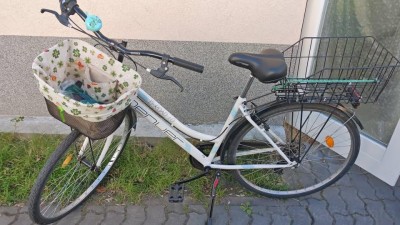 Muž okradl invalidní ženu. Za to mu hrozí, že půjde až na tři roky do vězení