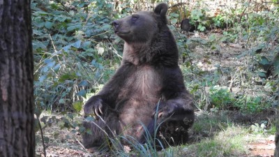 Rok 2026 přep&iacute;&scaron;e pravidla udržitelnosti. Česk&eacute; firmy ček&aacute; konec greenwashingu, obrat k cirkul&aacute;rn&iacute; ekonomice a tvrd&eacute; sankce