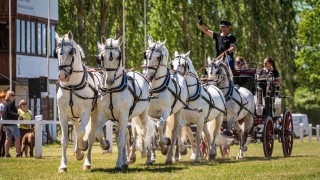 foto zdroj N&aacute;rodn&iacute; hřebč&iacute;n Kladruby