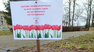 V Pardubičkách na jaře rozkvetou záhony, na Dukle vzniklo uskupení Za zelenější Duklu a okolí