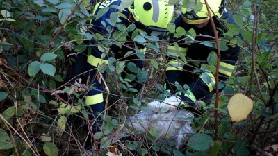 Obrazem: Labuť se chytila do pasti ostružin, osvobodili ji hasiči a přitom i poskytli pomoc cyklistovi po pádu z kola