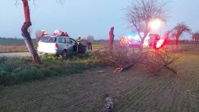Řidička s vozem narazila do stromu. Z auta ji museli zraněnou vyprošťovat