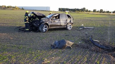 SUV skončilo v kotrmelcích v poli, řidič v péči zdravotnické záchranky