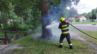 Strom se sršním hnízdem zřejmě někdo podpálil