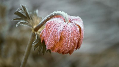 Meteorologové varují: Dnes v noci přijde do Česka nebezpečný mráz