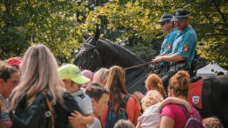 Obrazem: Podívejte se na čtyřnohé pomocníky Městské policie Pardubice v akci