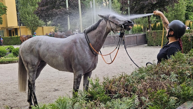 Dostihové závodiště Merano, foto zdroj Dostihový spolek Pardubice
