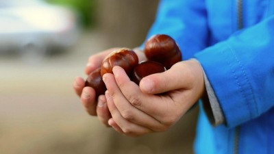 Užijte si kaštany na různé způsoby, v Nasavrkách bude Kaštanobraní