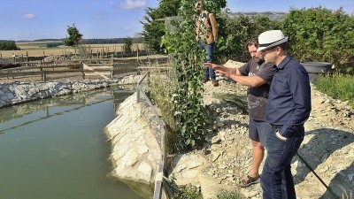 Víkend slibuje počasí akorát na výlety, vyrazte za zvířátky na Harteckou stezku