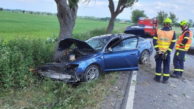 Včela vehnala řidiče do příkopu u Řestok, motorkář havaroval ve Slatiňanech, kolem zrovna jeli hasiči