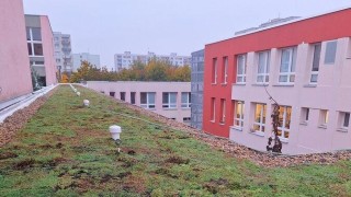 Pardubice mají první školu, kterou zdobí zelená vegetační střecha