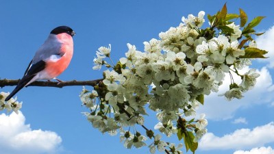 Oslavy jara v Pardubicích. Co podniknout na Velikonoce v krajském městě