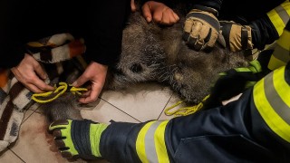 foto HZS Pardubický kraj
