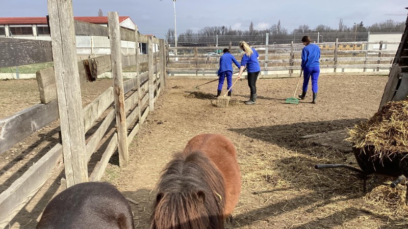 foto zdroj Pohádková zahrada se zvířátky