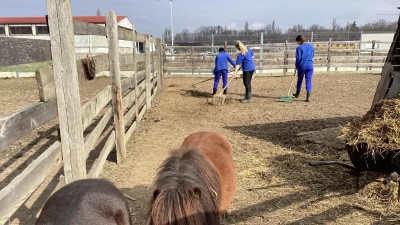 Přípravy na akci Vítání jara jsou v Pohádkové zahradě se zvířátky v plném proudu