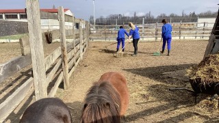 Přípravy na akci Vítání jara jsou v Pohádkové zahradě se zvířátky v plném proudu