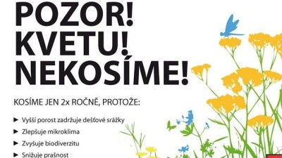 V České Třebové zkouší mozaikovou seč - bujná zeleň poroste vedle upravených trávníků