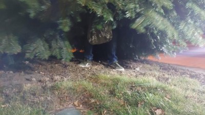 Z jehličnanu koukaly lidské nohy, neušlo vrátnému z pardubické firmy