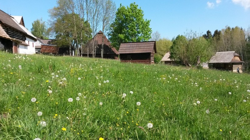 Ilustrační foto: Muzeum v přírodě Vysočina