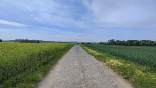 tady bude vysazena nová lipová alej, foto zdroj Město Pardubice