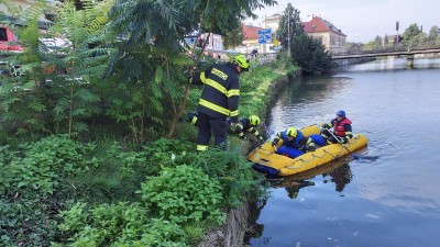 OBRAZEM: Hasiči zachránili srnečka z Tiché Orlice