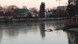 foto Městská policie Pardubice