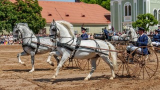 foto: Národní hřebčín Kladruby nad Labem