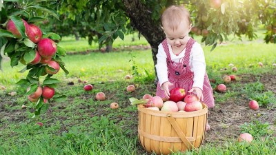 Zasaď strom, postav dům… To první bude moci udělat v České Třebové každý rodič v Sadě Třebováčků