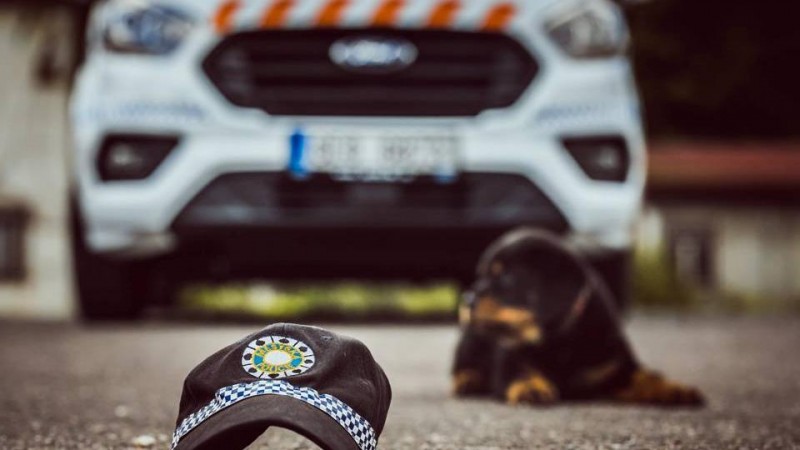 foto Městská policie Pardubice