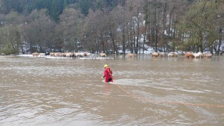 Od půlnoci již přes sto výjezdů hasičů kvůli velké vodě. Hasiči zachraňovali i dobytek