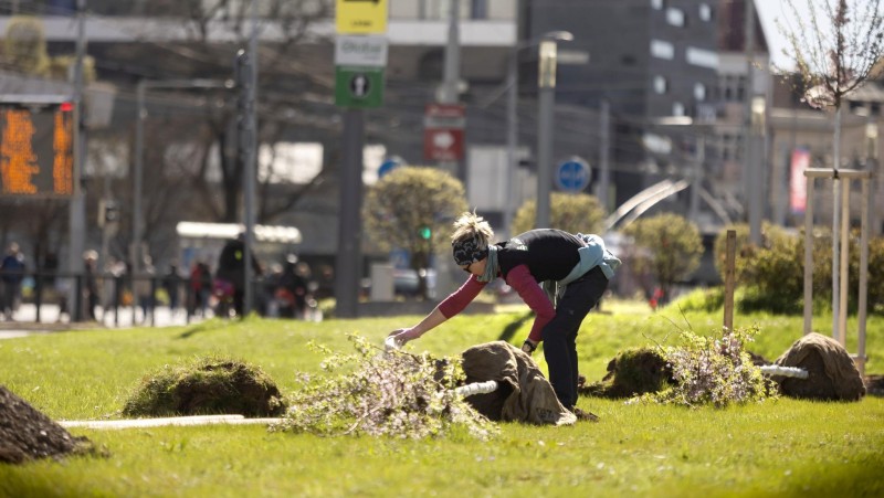 foto zdroj Město Pardubice