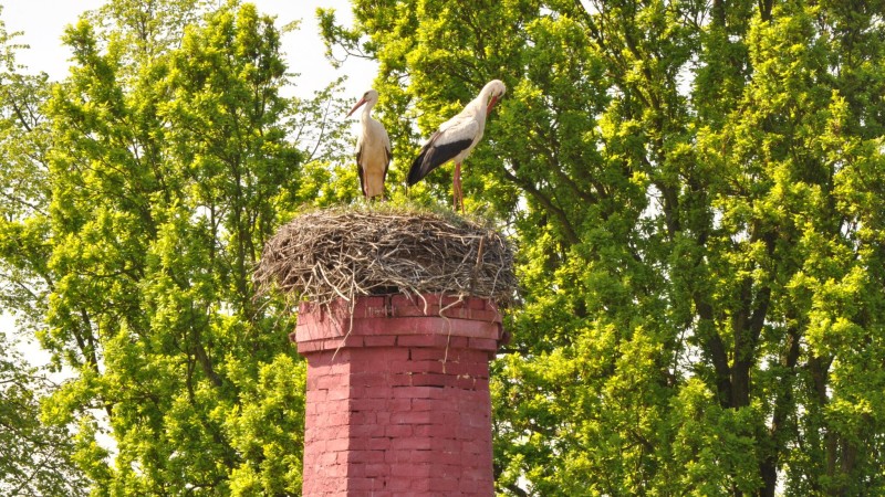 foto HZS Pardubický kraj