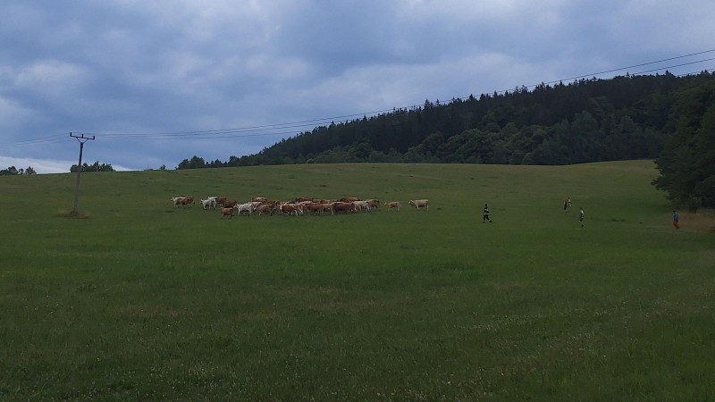 foto HZS Pardubický kraj