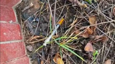 foto zdroj Město Pardubice