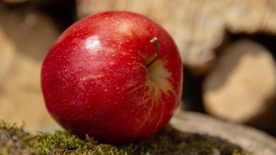 Jablka v&nbsp;Evropě obsahuj&iacute; pesticidn&iacute; koktejly, uvedla společnost PAN Europe. Co ale česk&aacute;?