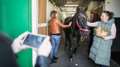 Městská policie Pardubice se rozloučila s Edou a Otou. Služební koně odjeli na důchod