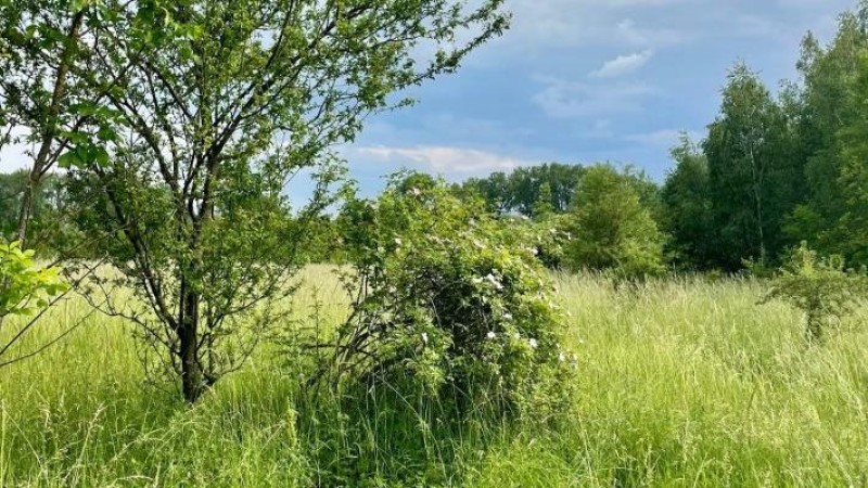 foto: Statutární město Pardubice