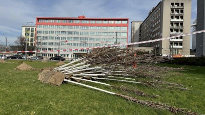 U Paláce Pardubice vzniká nový park