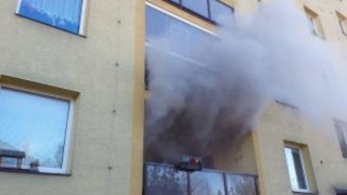 Zkrat indukční desky způsobil požár v panelovém bytě, kde byla zvířata. Jedna kočička nepřežila, druhou museli hasiči rozdýchat