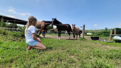 Dovolená na statku: Selský dvůr v Braňanech je malebné místo pro váš pobyt, výlet či akci, kde mají koně i zoo koutek, stylové ubytování a dobré jídlo