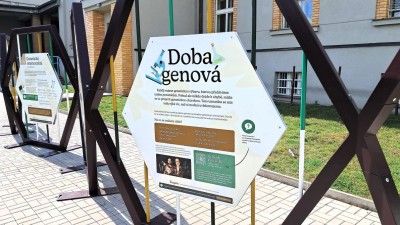 Doba genov&aacute;: Zajděte se pod&iacute;vat na nev&scaron;edn&iacute; v&yacute;stavu před budovu gymn&aacute;zia v Litomy&scaron;li