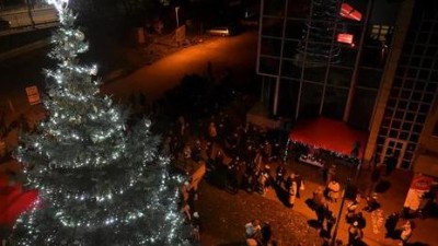 Studenti Univerzity dnes rozsvítí svůj vánoční strom. Rozsvícení doplní zajímavým programem