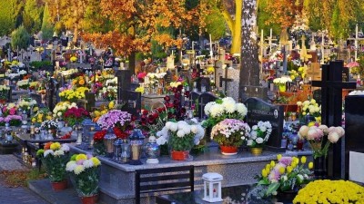 Evropská plynová krize lidem v Česku prodraží Svátek zesnulých. Ceny květin půjdou nahoru až o třetinu